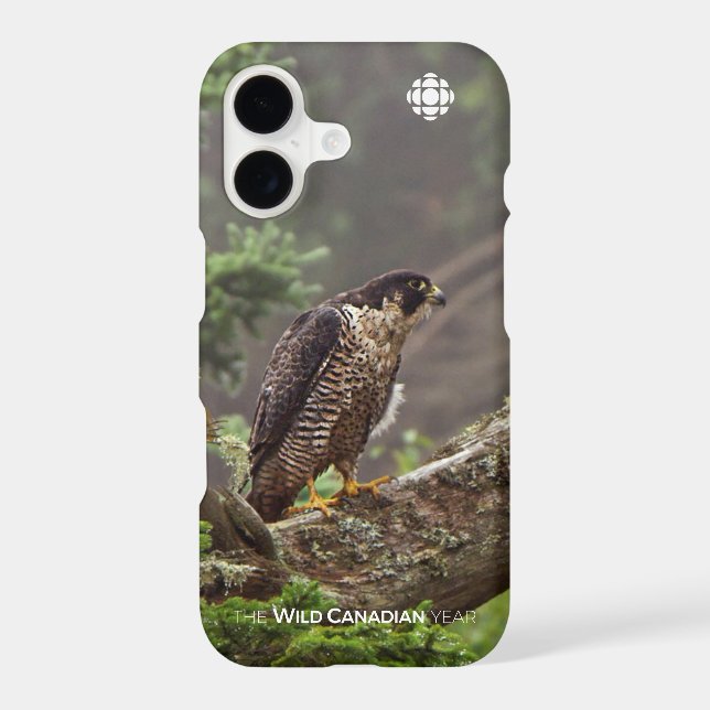 Fall - Peregrine Falcon Case-Mate iPhone Case (Back)