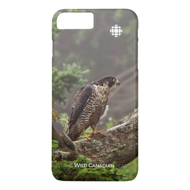 Fall - Peregrine Falcon Case-Mate iPhone Case (Back)