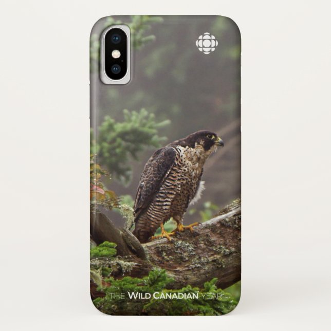 Fall - Peregrine Falcon Case-Mate iPhone Case (Back)