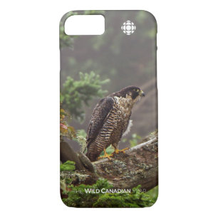 Fall - Peregrine Falcon iPhone 8/7 Case