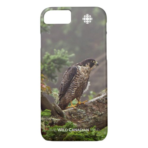 Fall _ Peregrine Falcon iPhone 87 Case