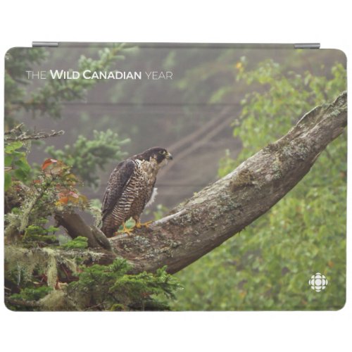 Fall _ Peregrine Falcon iPad Smart Cover