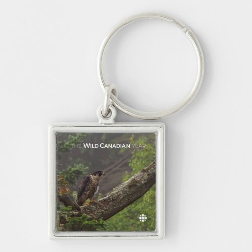 Fall _ Peregrine Falcon Keychain