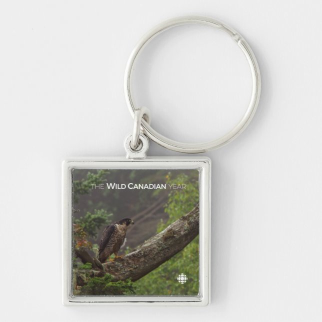 Fall - Peregrine Falcon Keychain (Front)