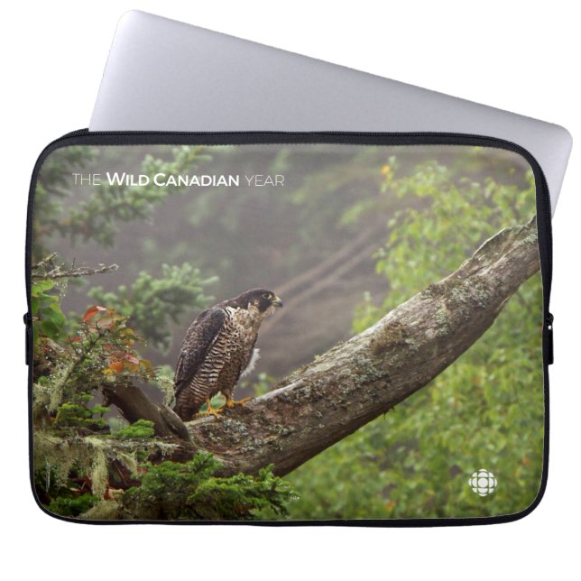 Fall - Peregrine Falcon Laptop Sleeve (Front)