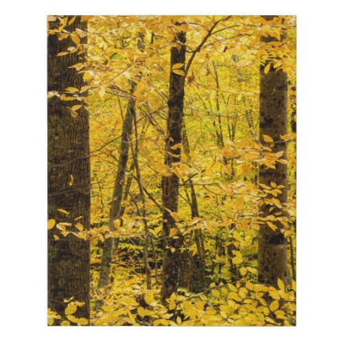 Fall Pisgah National Forest Faux Canvas Print