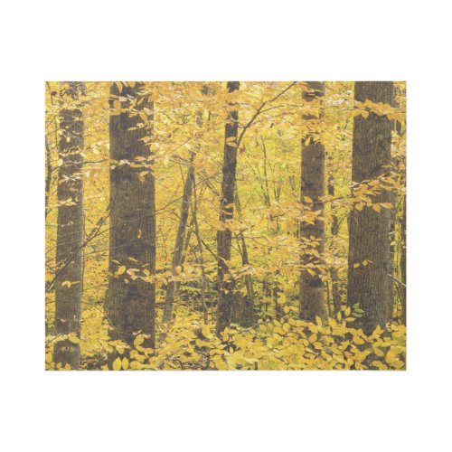 Fall Pisgah National Forest Gallery Wrap