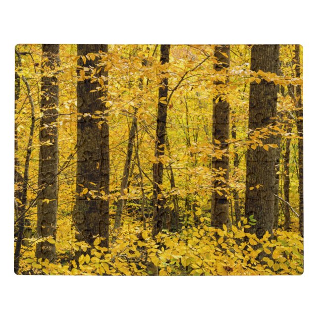 Fall Pisgah National Forest Jigsaw Puzzle (Puzzle Horizontal)