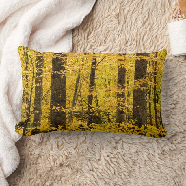 Fall Pisgah National Forest Lumbar Pillow (Blanket)