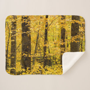Fall Pisgah National Forest Sherpa Blanket