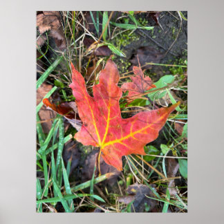 Fall poster