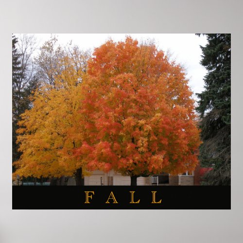 Fall Poster With Two Trees in Autumn Colors