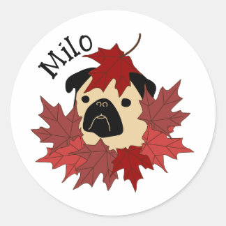 Fall Pug with Leaves Classic Round Sticker