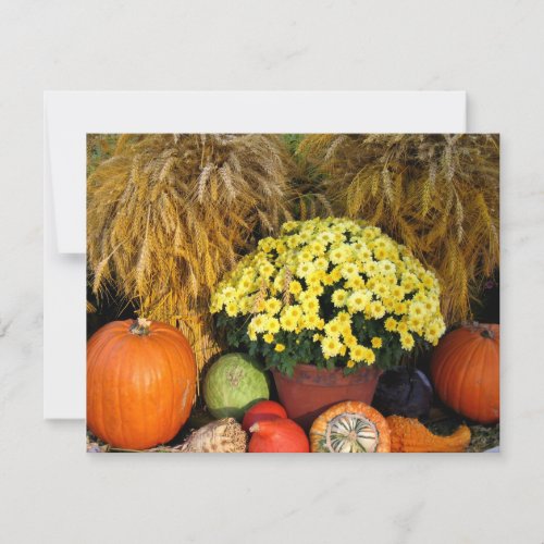 Fall Pumpkin and Wheat Invitation