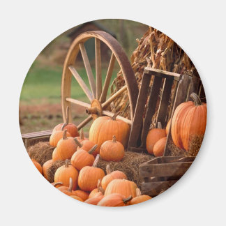Fall Pumpkin Harvest Magnet