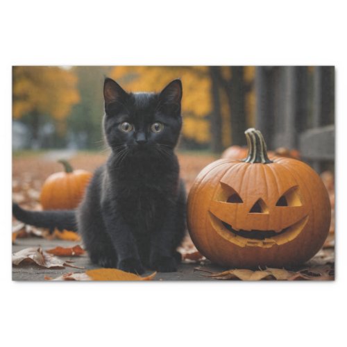 Fall Pumpkin Sweet Black kitten decoupage  Tissue Paper