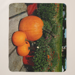 Fall Pumpkins and Mums on a Sherpa Blanket