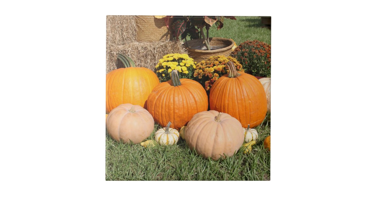 Fall Pumpkins and Mums Photo Ceramic Tile | Zazzle