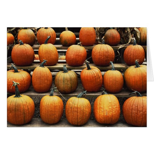 Fall pumpkins cards (Front Horizontal)