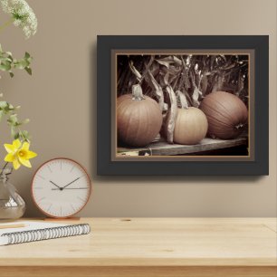 Fall Pumpkins Corn Stalks Vintage Framed Framed Art