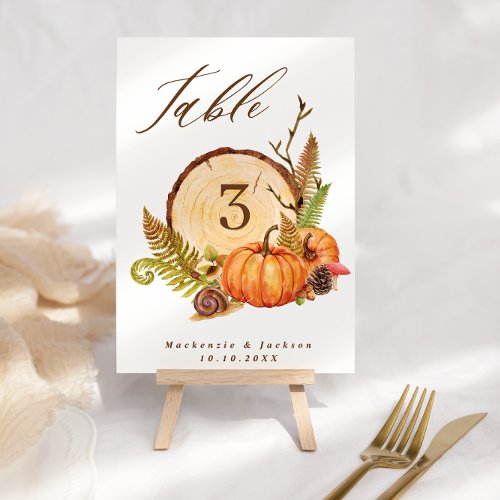 Fall Pumpkins Ferns  Wood Slice Script Wedding  Table Number