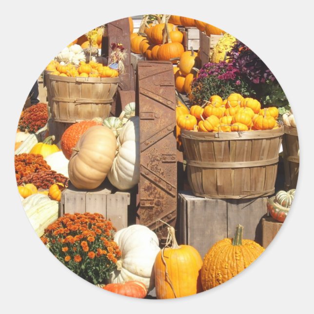 Fall Pumpkins Glossy Stickers (Front)