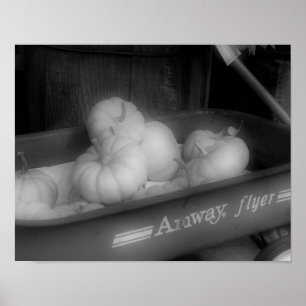 Fall Pumpkins In Wagon Black And White Poster