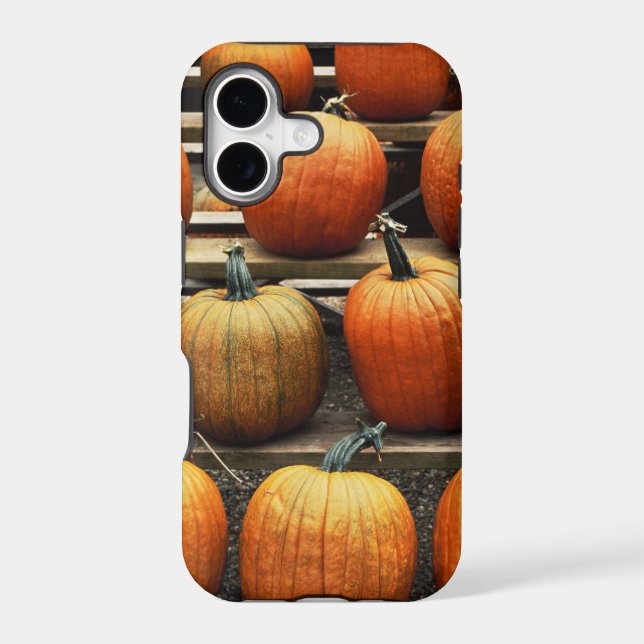 Fall pumpkins iphone case (Back)