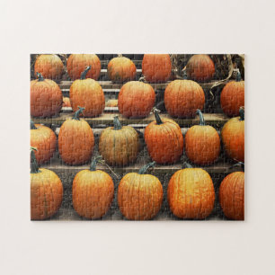 Fall pumpkins jigsaw puzzle
