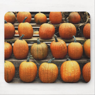 Fall pumpkins mouse pad