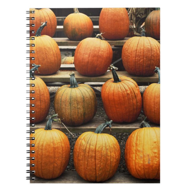 Fall pumpkins notebook (Front)