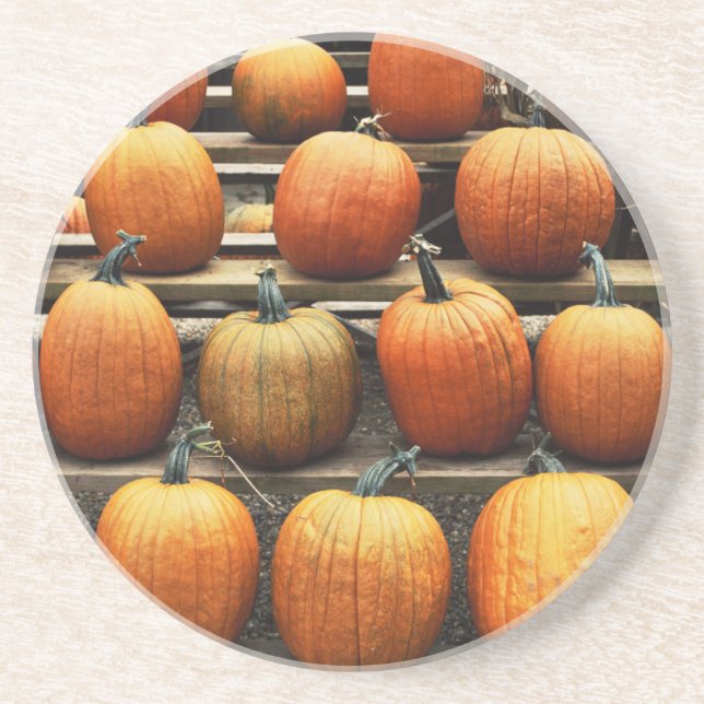 Fall pumpkins sandstone coaster (Front)