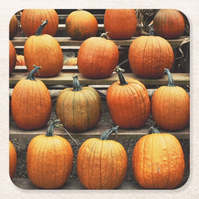 Fall pumpkins square paper coaster (Front)