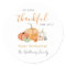 Fall Pumpkins Thanksgiving Thank You 