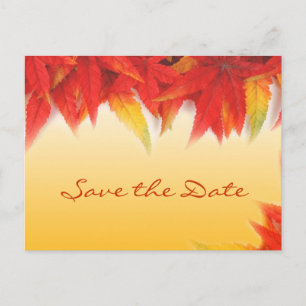 Fall red leaves wedding save the date postcards. announcement postcard