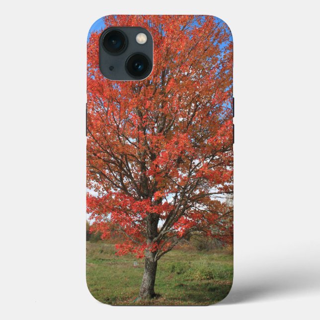 Fall red maple tree in the blue sky Case-Mate iPhone case (Back)