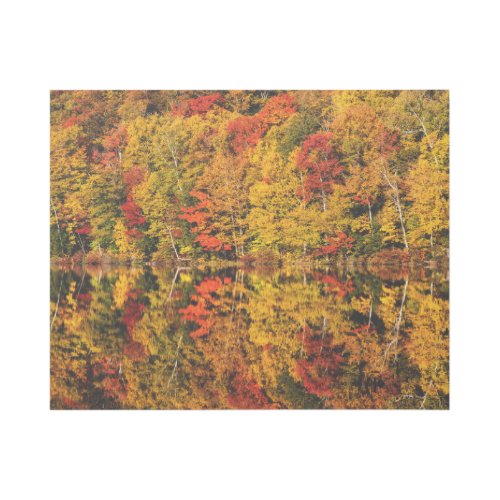 Fall Reflection on Russell Pond  New Hampshire Gallery Wrap