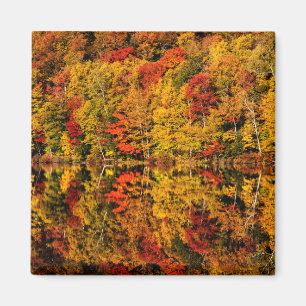 Fall Reflection on Russell Pond New Hampshire Magnet