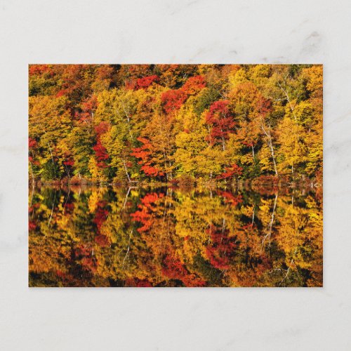 Fall Reflection on Russell Pond  New Hampshire Postcard