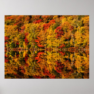 Fall Reflection on Russell Pond New Hampshire Poster
