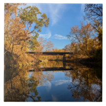 Fall Reflections