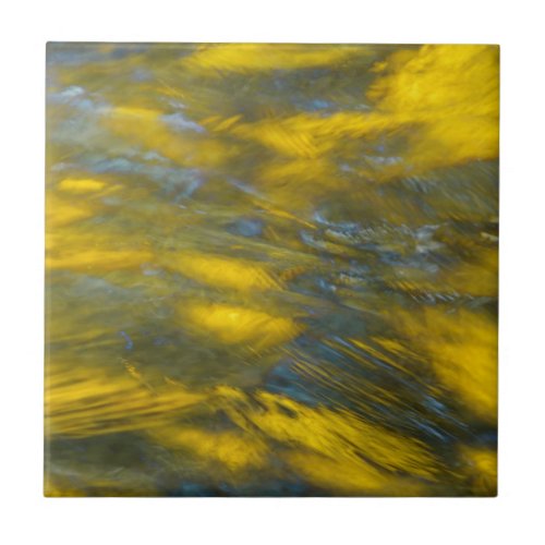 Fall Reflections in Gray and Yellow Tile