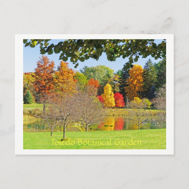 FALL REFLECTIONS IN LAKE AT TOLEDO BOTANICAL GARDE POSTCARD (Front)