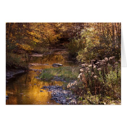 fall river (Front Horizontal)