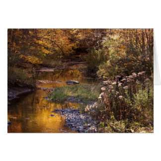 fall river cards