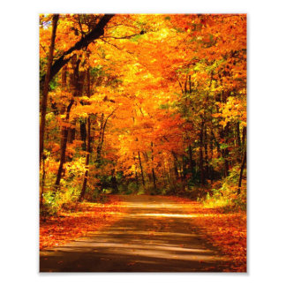 fall scene photo print