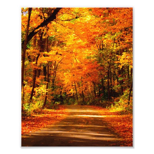 fall scene photo print