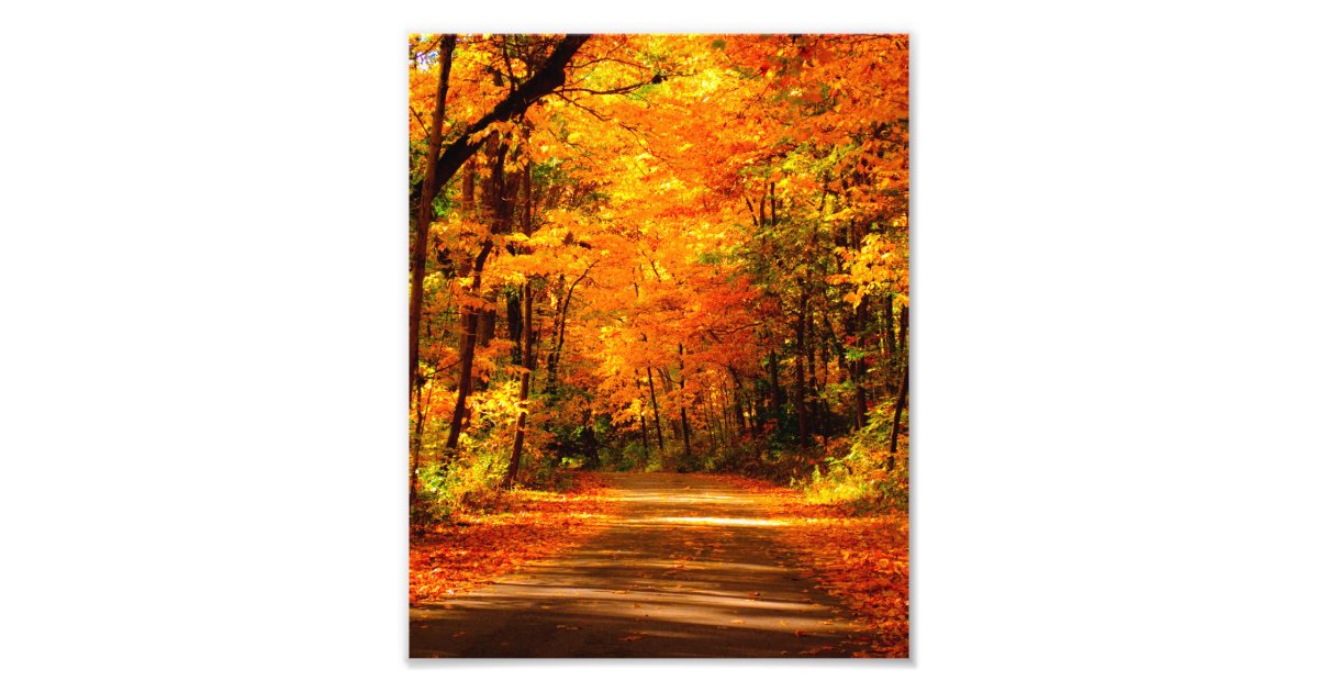 fall scene photo print | Zazzle