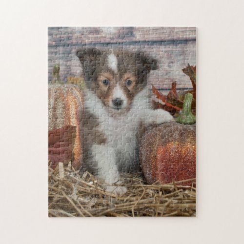 Fall Sheltie Puppy Jigsaw Puzzle