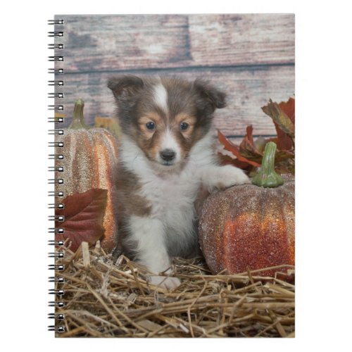 Fall Sheltie Puppy Notebook